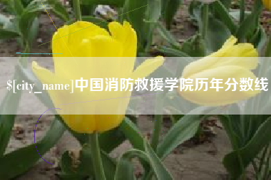 长岭中国消防救援学院历年分数线