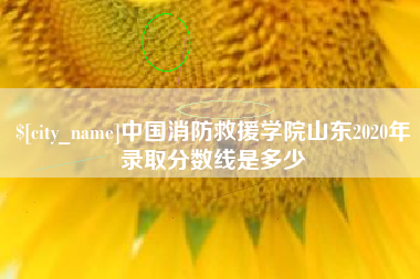 长岭中国消防救援学院山东2020年录取分数线是多少