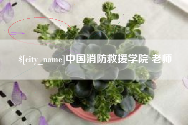 长岭中国消防救援学院 老师
