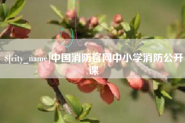 长岭中国消防官网中小学消防公开课