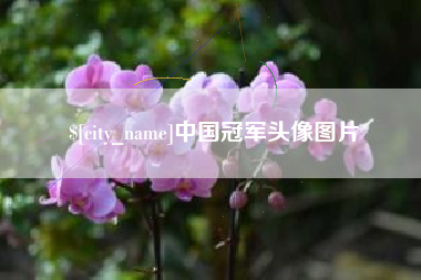 长岭中国冠军头像图片