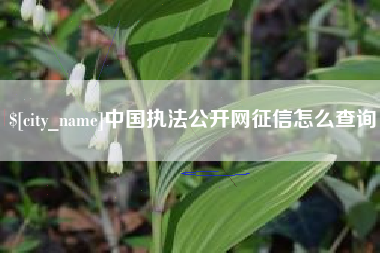 长岭中国执法公开网征信怎么查询