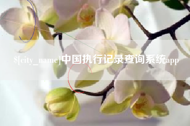 长岭中国执行记录查询系统app