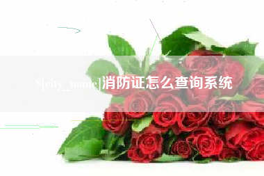 长岭消防证怎么查询系统