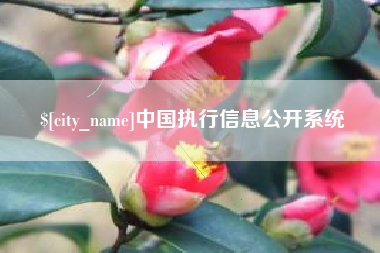 长岭中国执行信息公开系统