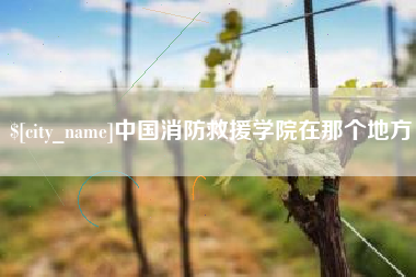 长岭中国消防救援学院在那个地方