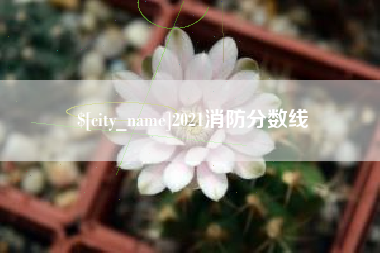 长岭2021消防分数线