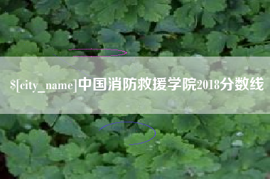 长岭中国消防救援学院2018分数线