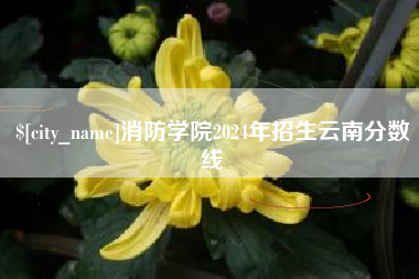 长岭消防学院2024年招生云南分数线