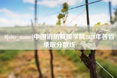 长岭中国消防救援学院2020年各省录取分数线