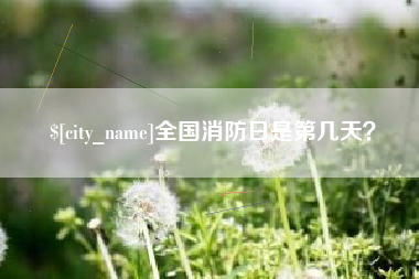 长岭全国消防日是第几天？