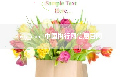 长岭中国执行网信息官网
