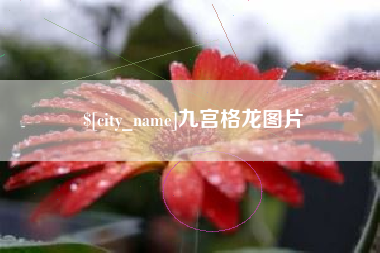 长岭九宫格龙图片