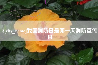 长岭我国消防日是哪一天消防宣传日