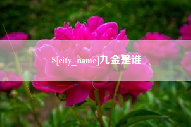 长岭九金是谁