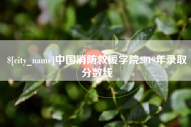 长岭中国消防救援学院2019年录取分数线