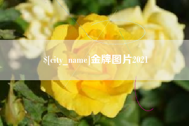 长岭金牌图片2021
