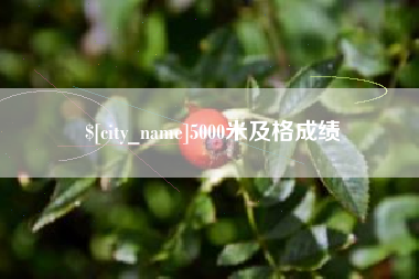 长岭5000米及格成绩