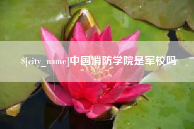 长岭中国消防学院是军校吗