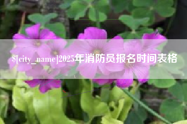长岭2025年消防员报名时间表格