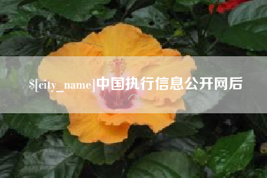 长岭中国执行信息公开网后