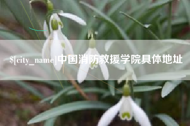 长岭中国消防救援学院具体地址