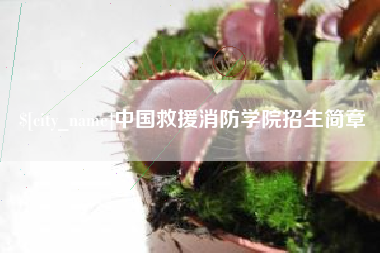 长岭中国救援消防学院招生简章
