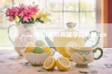 长岭中国消防救援学院分数2020