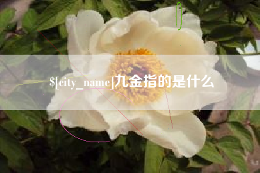 长岭九金指的是什么