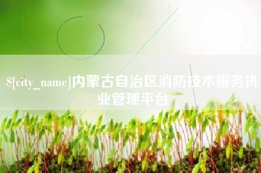 长岭内蒙古自治区消防技术服务执业管理平台