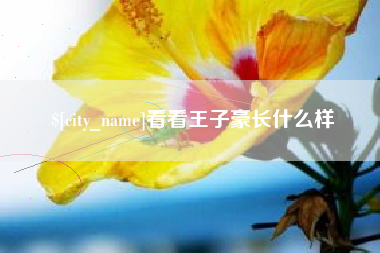 长岭看看王子豪长什么样