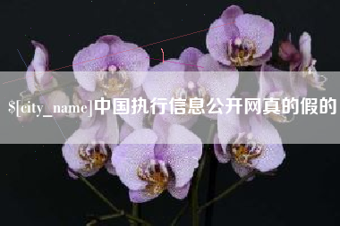 长岭中国执行信息公开网真的假的