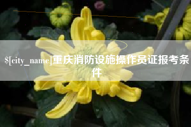 长岭重庆消防设施操作员证报考条件