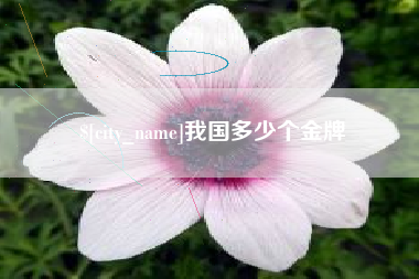 长岭我国多少个金牌