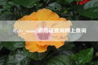 长岭消防证查询网上查询