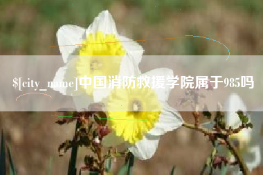 长岭中国消防救援学院属于985吗