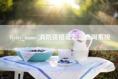 长岭消防资格证怎么查询系统