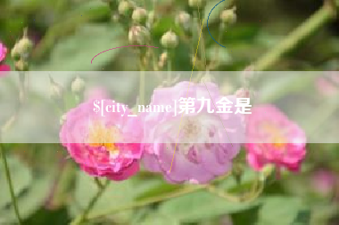 长岭第九金是