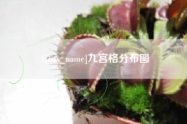 长岭九宫格分布图