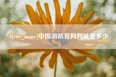 长岭中国消防官网网址是多少