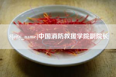 长岭中国消防救援学院副院长