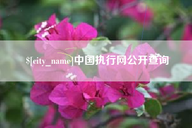 长岭中国执行网公开查询