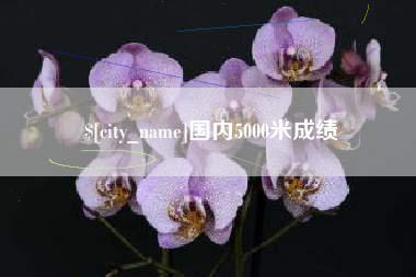长岭国内5000米成绩