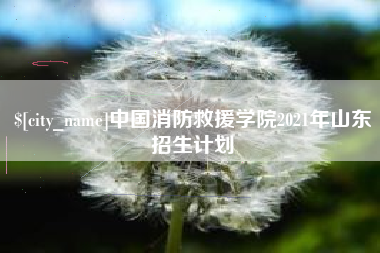 长岭中国消防救援学院2021年山东招生计划
