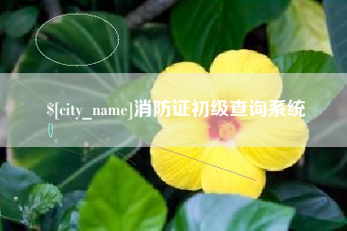 长岭消防证初级查询系统