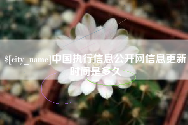 长岭中国执行信息公开网信息更新时间是多久