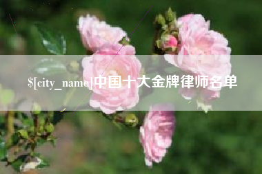 长岭中国十大金牌律师名单