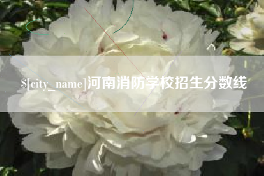 长岭河南消防学校招生分数线