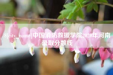 长岭中国消防救援学院2020年河南录取分数线