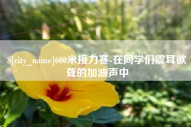 长岭600米接力赛-在同学们震耳欲聋的加油声中